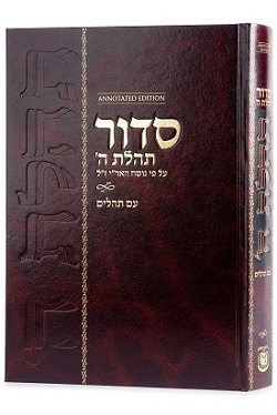 Siddur Annotated Hebrew with English Instructions Large/Chazan Edition